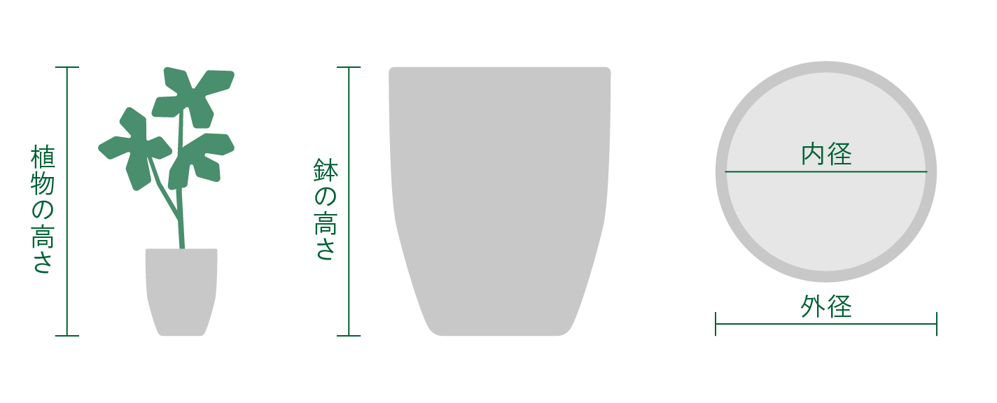 植物と鉢のサイズ